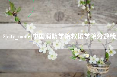 韩城中国消防学院救援学院分数线