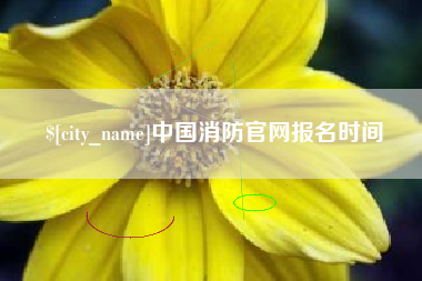 韩城中国消防官网报名时间