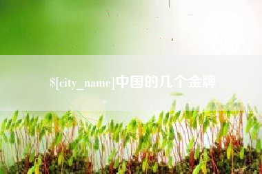 韩城中国的几个金牌