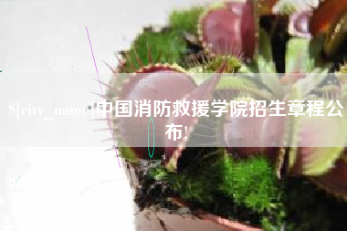韩城中国消防救援学院招生章程公布!