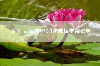 韩城中国消防救援学院张勇