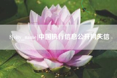 韩城中国执行信息公开网失信