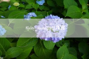 韩城2022九宫