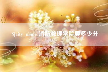 韩城消防救援学院要多少分