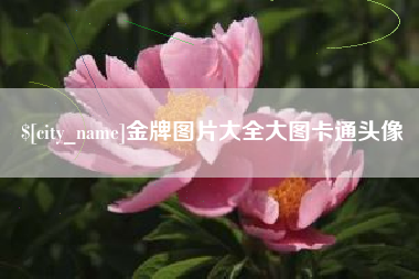 韩城金牌图片大全大图卡通头像