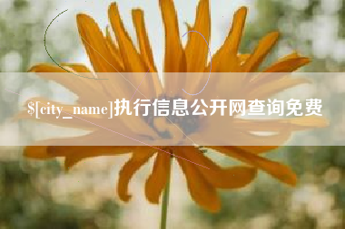 韩城执行信息公开网查询免费