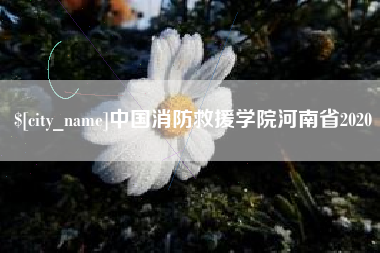 韩城中国消防救援学院河南省2020